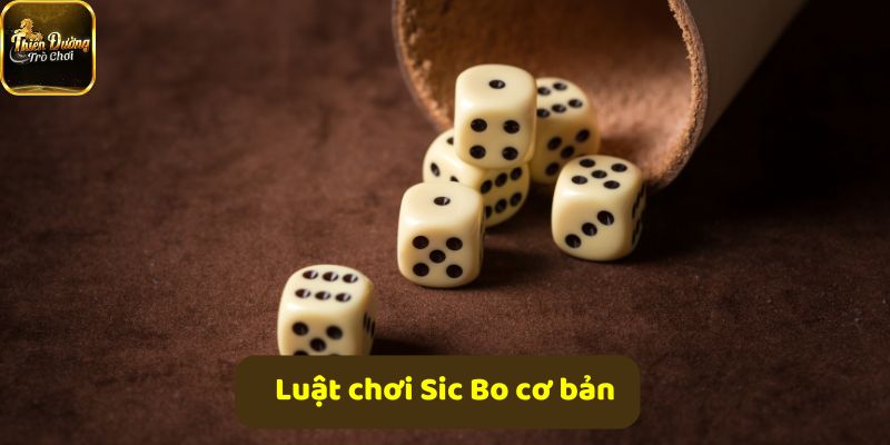 Luật chơi Sic Bo cơ bản giúp bạn tự tin đặt cược hiệu quả